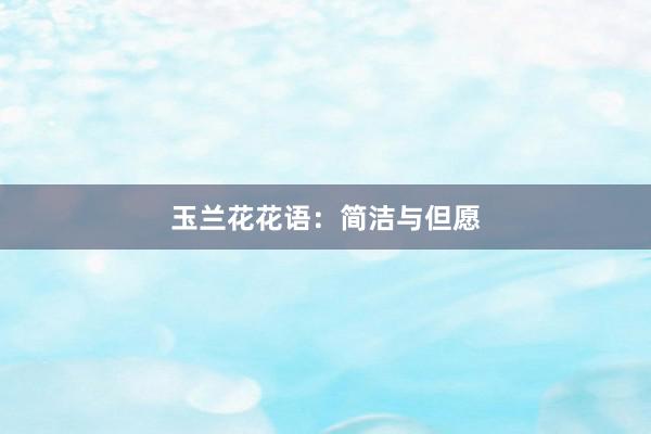 玉兰花花语：简洁与但愿