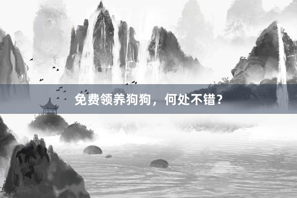 免费领养狗狗，何处不错？