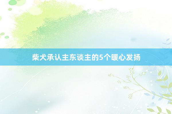 柴犬承认主东谈主的5个暖心发扬