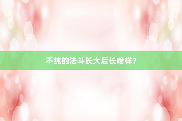 不纯的法斗长大后长啥样?