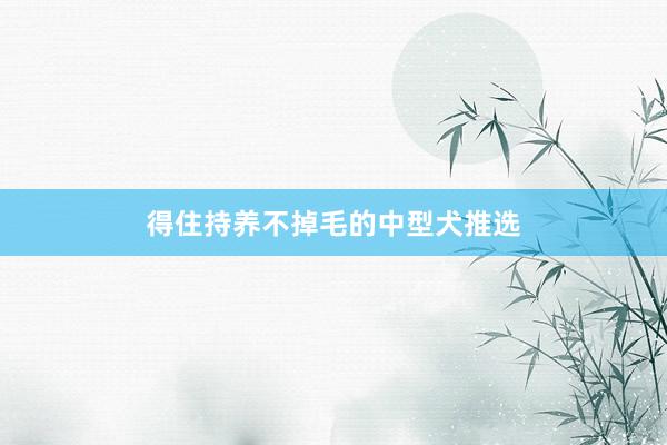得住持养不掉毛的中型犬推选