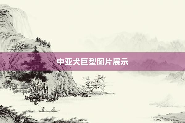 中亚犬巨型图片展示